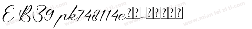 E BZ9 pk748114e字体字体转换